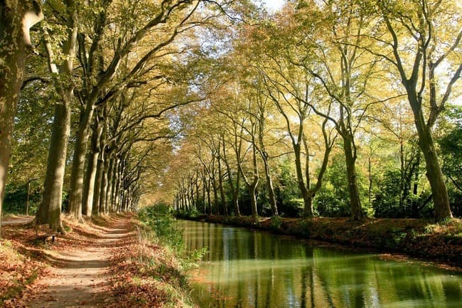 Canal du midi