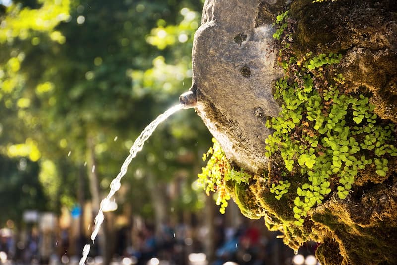 Fontaine naturelle avec jet d'eau cristalline et feuilles de lierre vert émergeant d'une pierre moussue dans un parc urbain ensoleillé