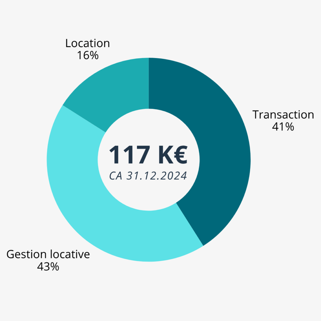 Graphique circulaire présentant la répartition des revenus d'activité de 117K€, avec 41% pour les transactions, 43% pour la gestion locative et 16% pour la location.