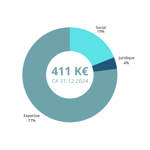 Graphique circulaire montrant un chiffre d’affaires de 411 K€, réparti en expertise, social et juridique.