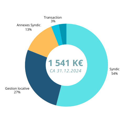 Répartition du chiffre d’affaires au 31 décembre 2024 – 1 541 K€