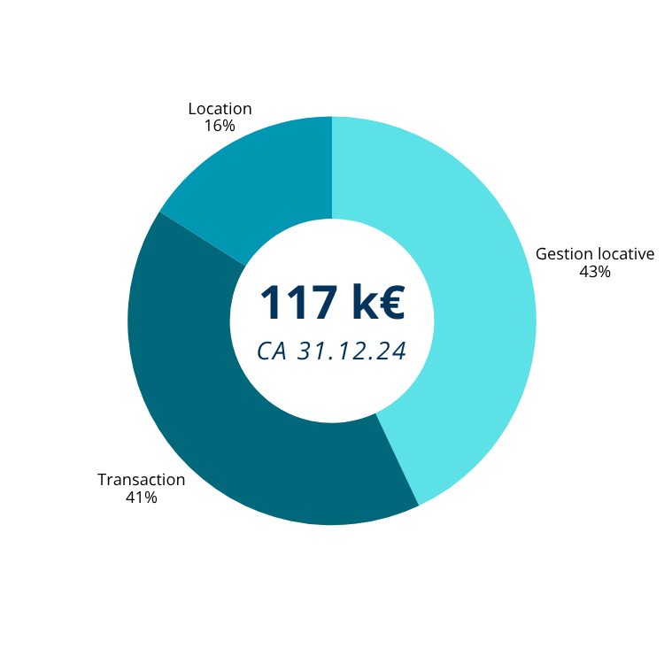 Graphique circulaire présentant la répartition des revenus d'activité de 117K€, avec 41% pour les transactions, 43% pour la gestion locative et 16% pour la location.