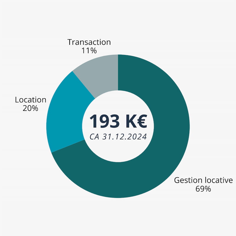 Graphique en anneau montrant un chiffre d’affaires de 193 K€, réparti entre gestion locative 69 %, location 20 % et transaction 11 %.