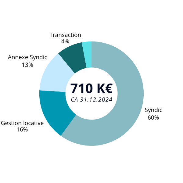 Graphique présentant un chiffre d’affaires de 710 K€, réparti entre syndic 60 %, gestion locative 16 %, annexe syndic 13 % et transaction 8 %.