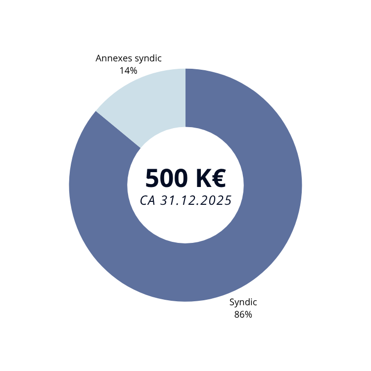 Graphique illustrant la répartition du chiffre d’affaires 2025, avec un total de 500 K€.