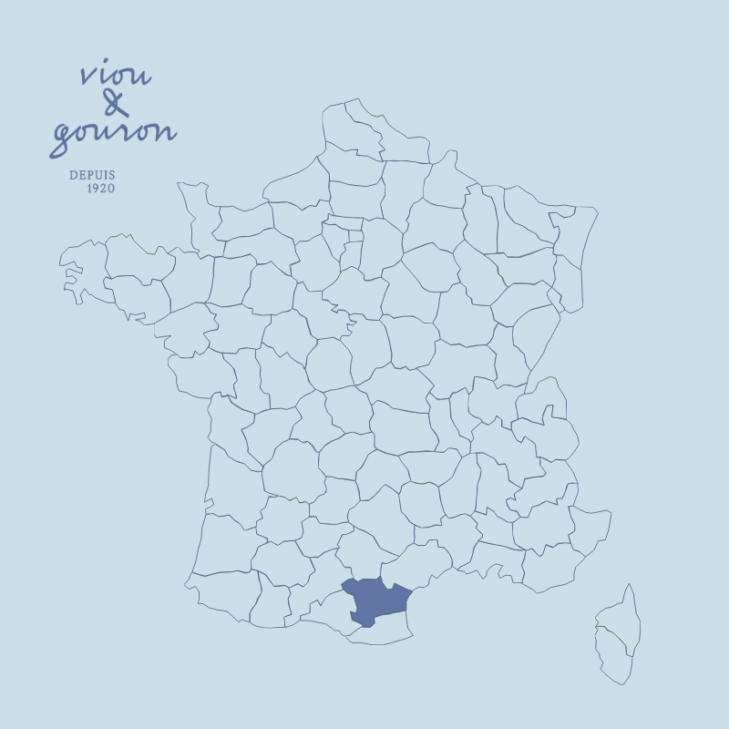 Carte de France – Département de l’Aude (Carcassonne).