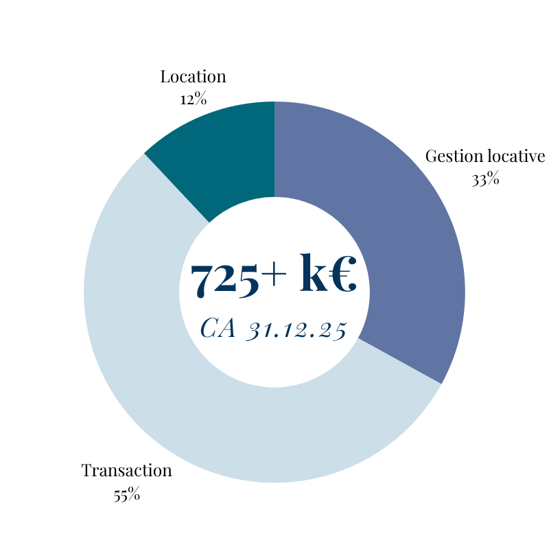 La répartition du chiffre d’affaires 2025 (Carcassonne), pour un total de 752+ k€.